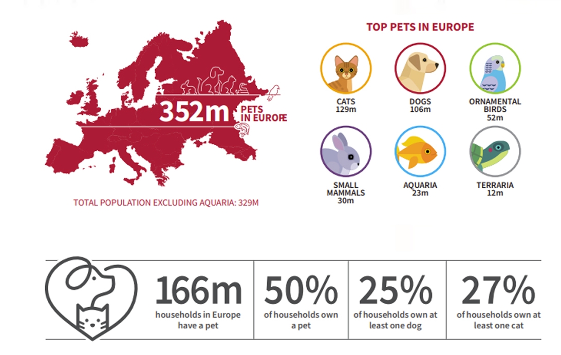 欧洲养狗突破1亿只，哪个国家最多？欧洲宠物市场情报！